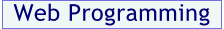  Web Programming 